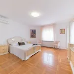 Villa Luxury With A Swimming Pool - Diklo, - 22230